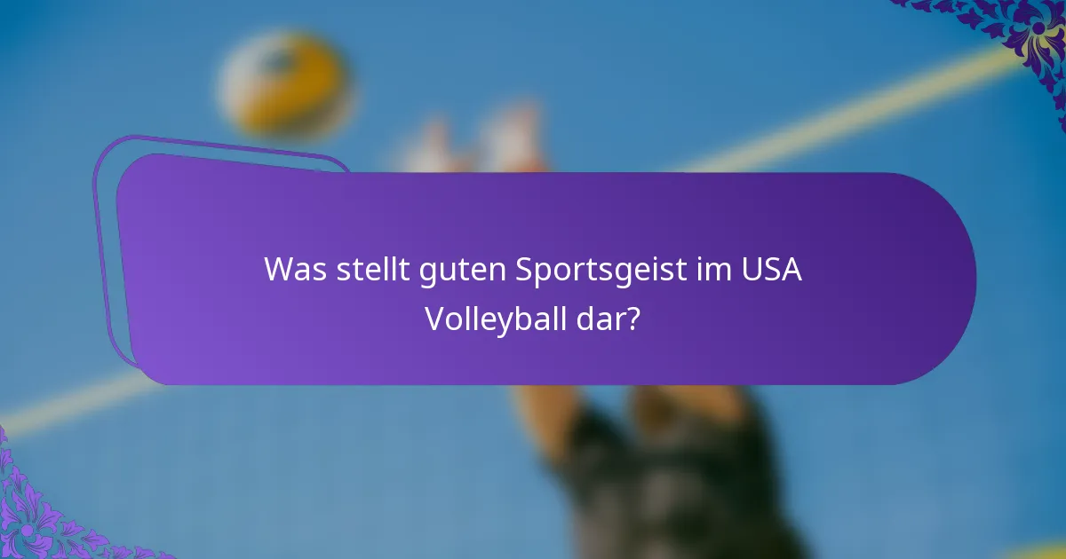 Was stellt guten Sportsgeist im USA Volleyball dar?