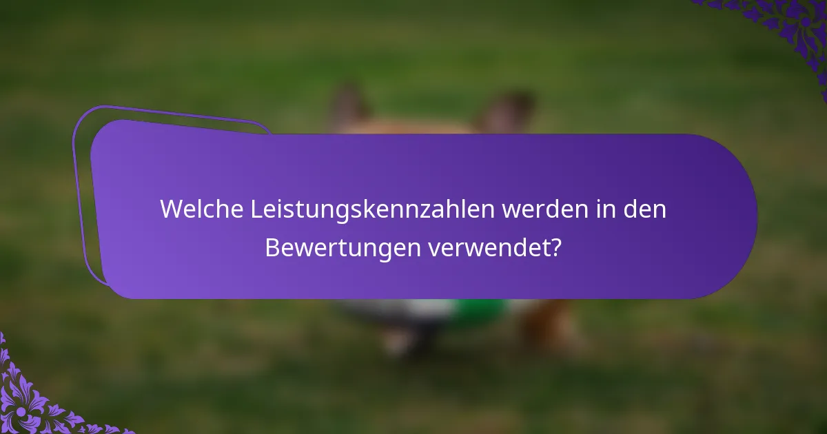 Welche Leistungskennzahlen werden in den Bewertungen verwendet?