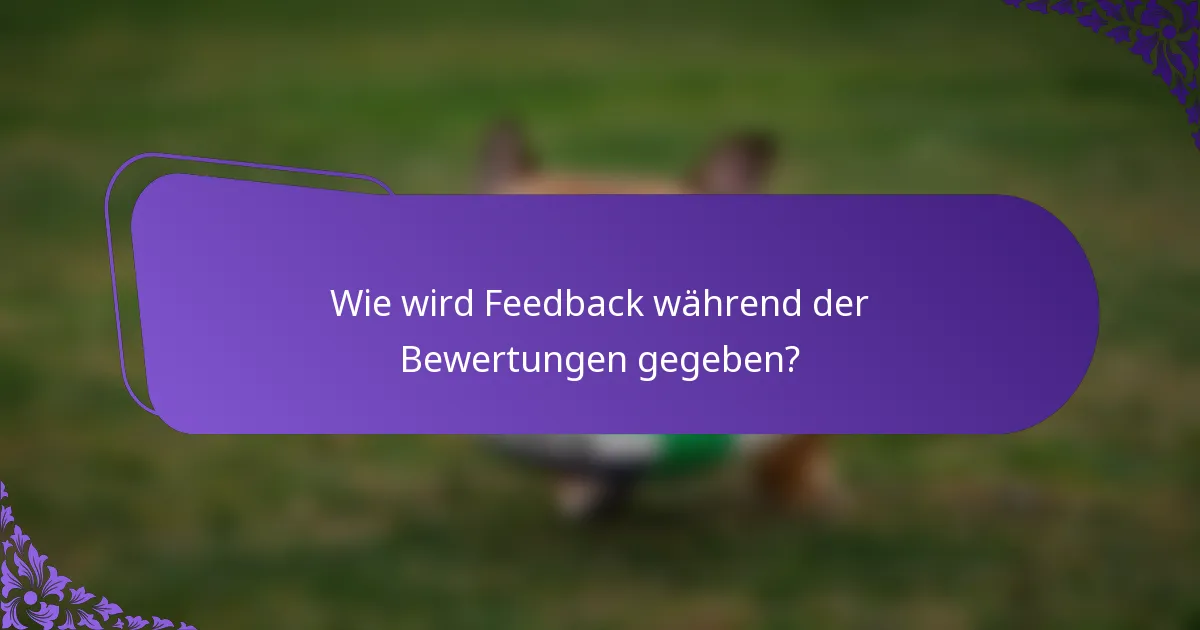 Wie wird Feedback während der Bewertungen gegeben?